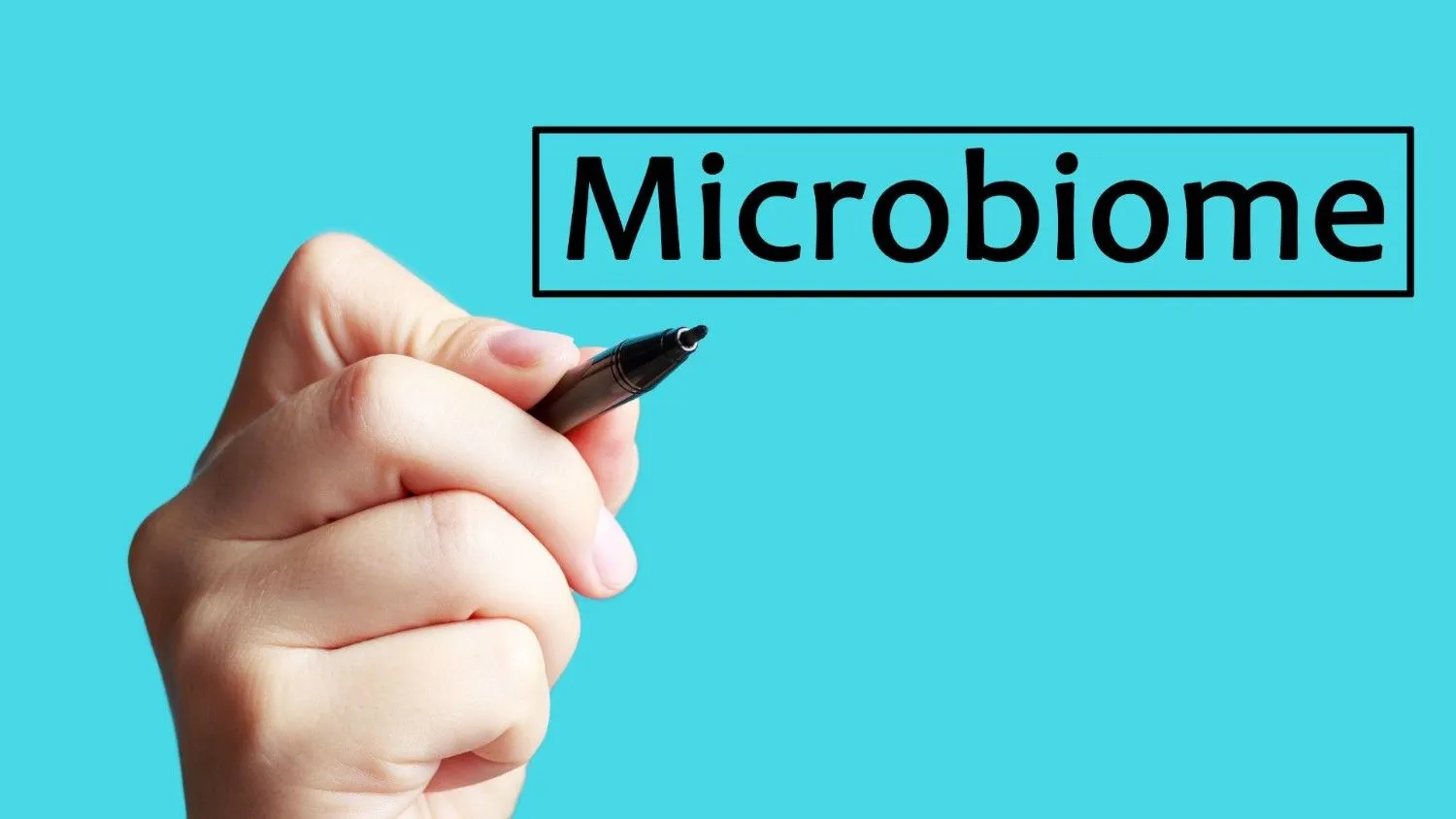 Wound Healing, microbiome balance, wound infection