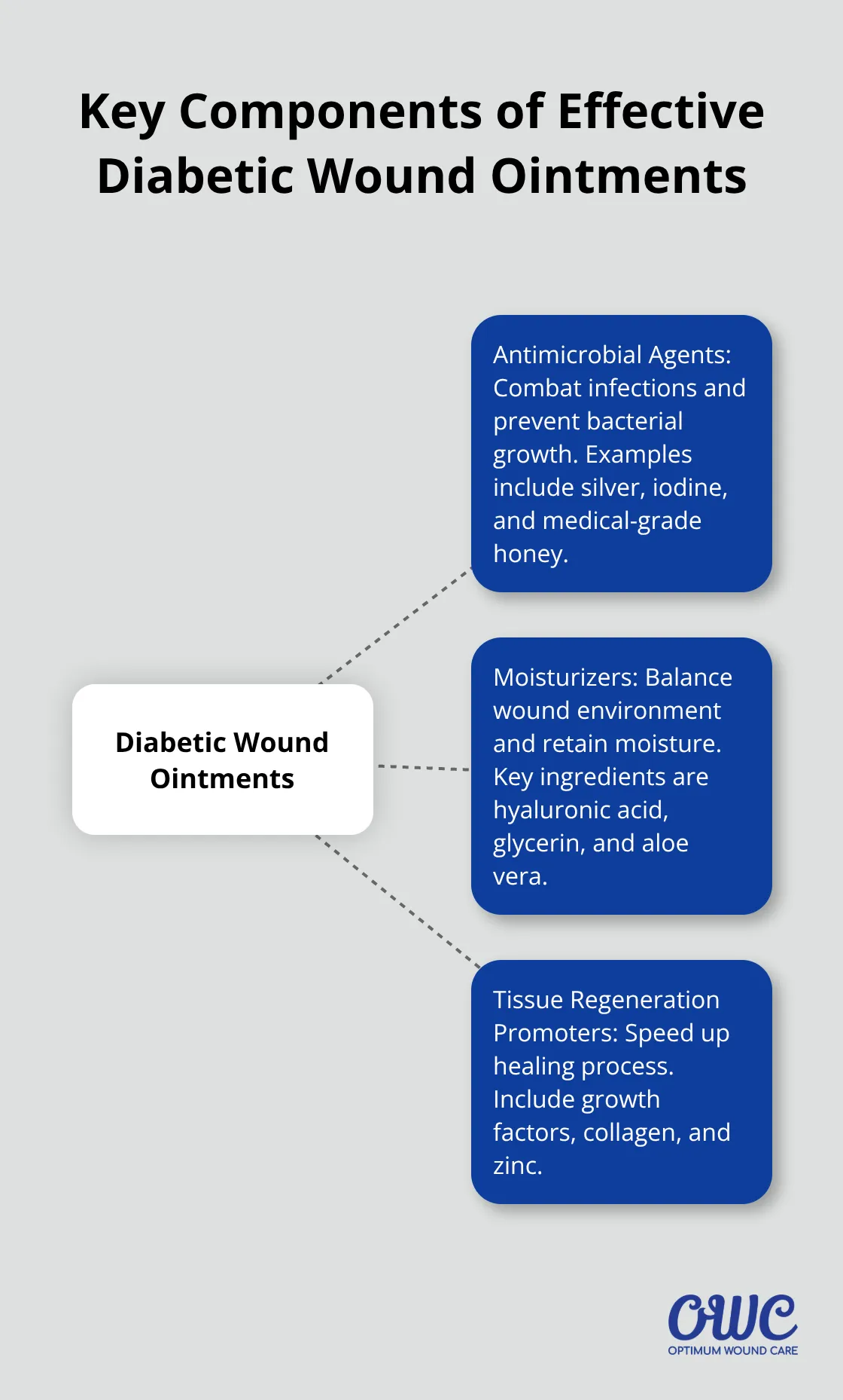 Hub and spoke chart showing antimicrobial agents, moisturizers, and tissue regeneration promoters as key components of diabetic wound ointments