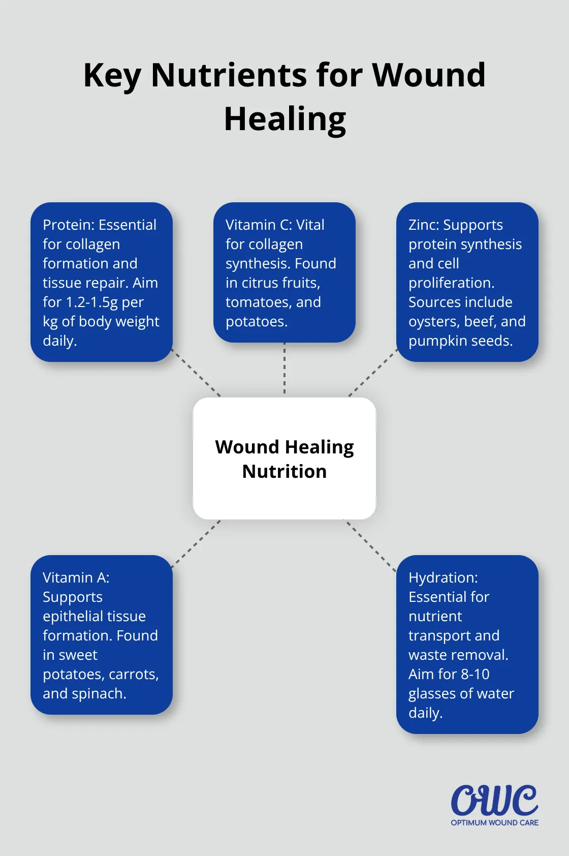 Hub and spoke chart showing essential nutrients for wound healing: protein, vitamin C, zinc, vitamin A, and hydration