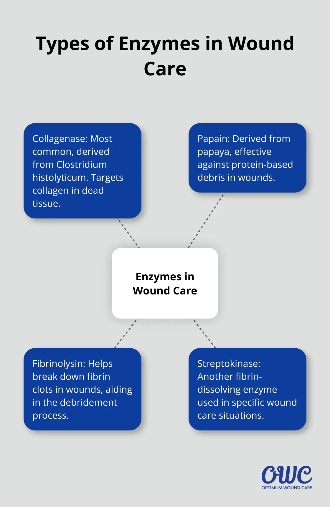 Hub and spoke diagram showing four types of enzymes used in wound care: Collagenase, Papain, Fibrinolysin, and Streptokinase